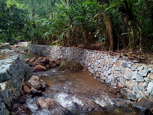 Stream Bank Stabilization