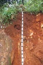 Hill Soils